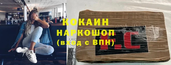 прущие грибы Бородино