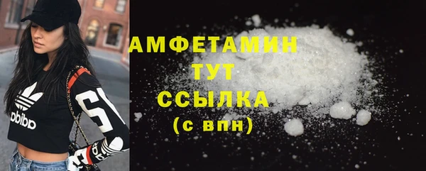 прущие грибы Бородино