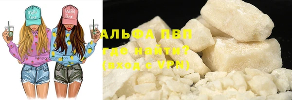 прущие грибы Бородино