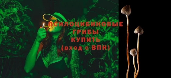 ешки Бугульма