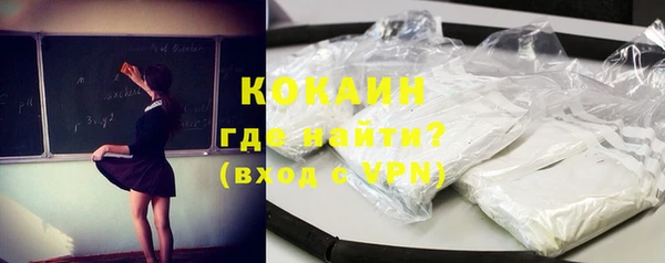 прущие грибы Бородино