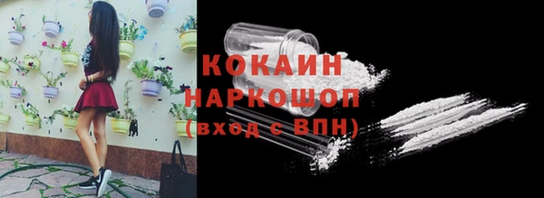 прущие грибы Бородино