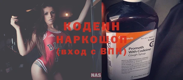 прущие грибы Бородино