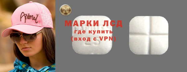 прущие грибы Бородино