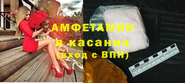 прущие грибы Бородино