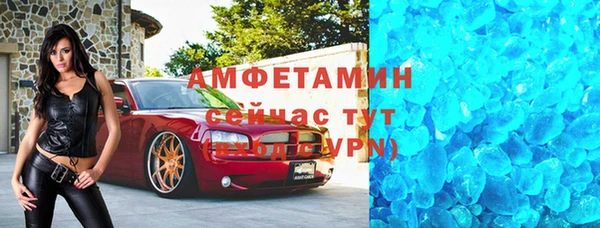 прущие грибы Бородино