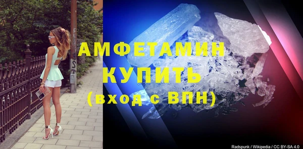 прущие грибы Бородино