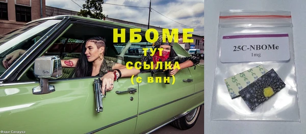 прущие грибы Бородино