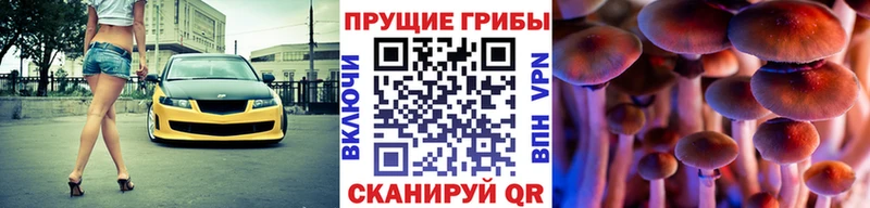 мега как войти  наркота  Комсомольск  Галлюциногенные грибы Cubensis 